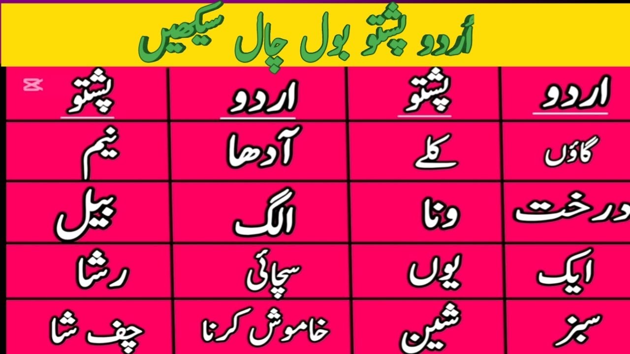 Learn pashto urdu conversations  | پشتو اردو بول چال سیکھیں  #pashtolanguage