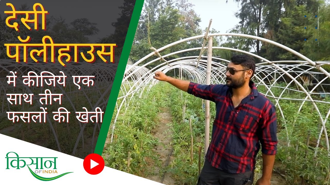 @OrganicAcre के फाउंडर Lakshay Dabas से सीखिए कम लागत में पॉलीहाउस कैसे बनायें?। PolyHouse Farming