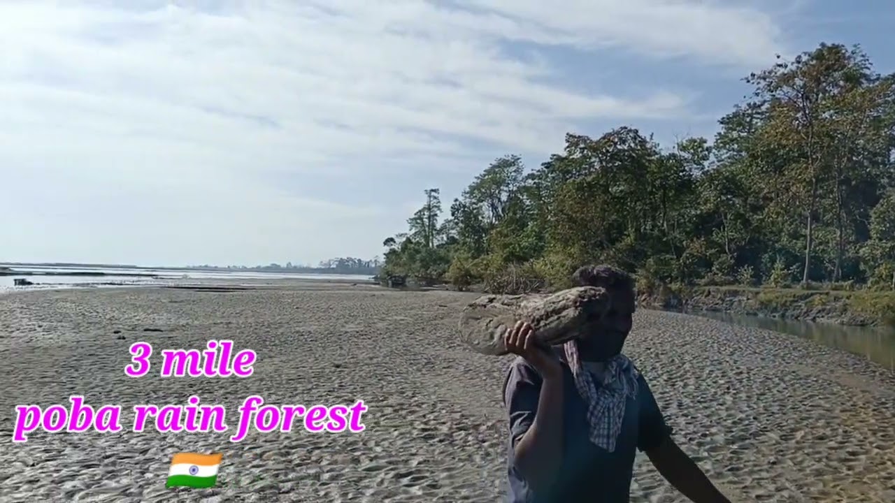 Scenic view of poba forest and siang river