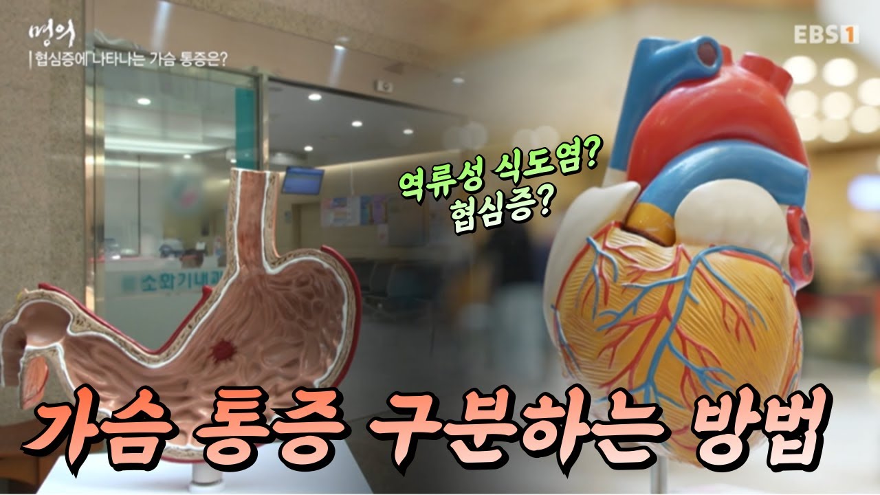 역류성 식도염과 협심증의 공통적인 증상 가슴 통증, 구별할 수 있을까?｜#명의