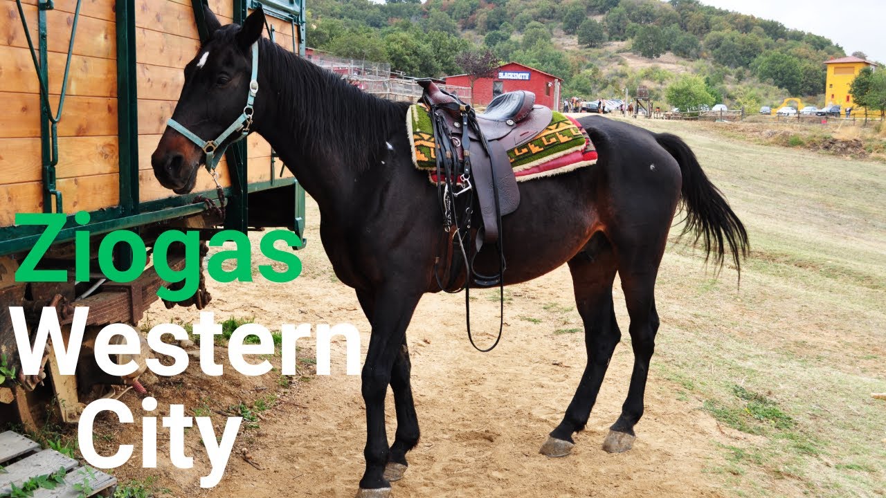 The Wild West Comes To Life In Ziogas Western City  #horseriding #horse