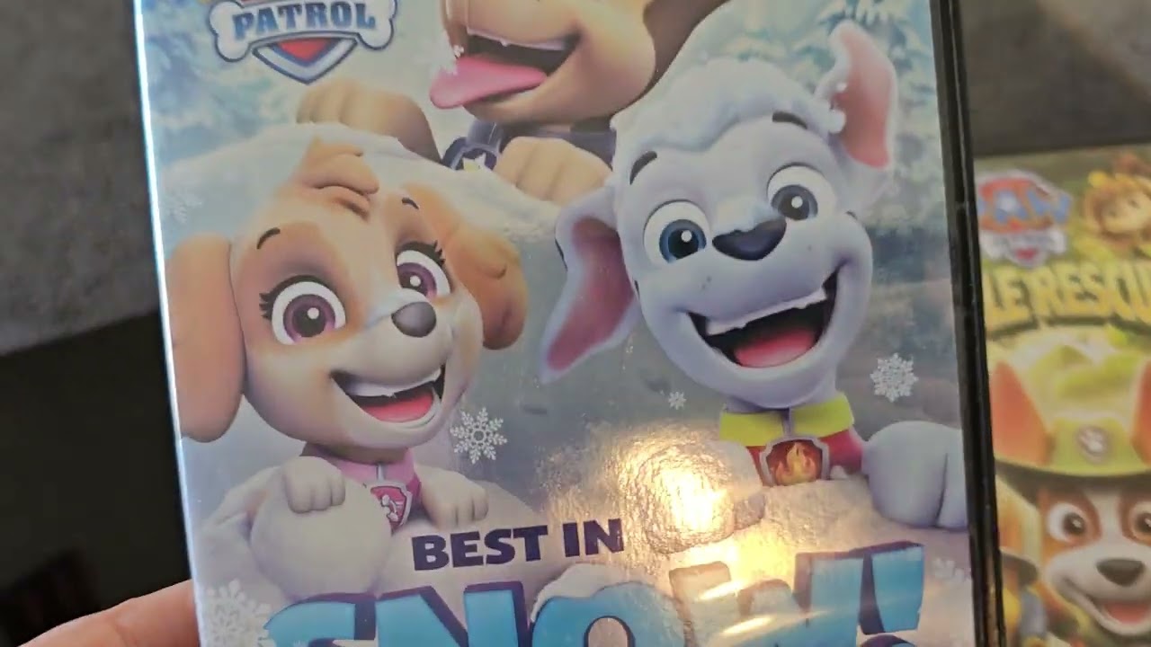 my paw patrol dvd collection of 2024