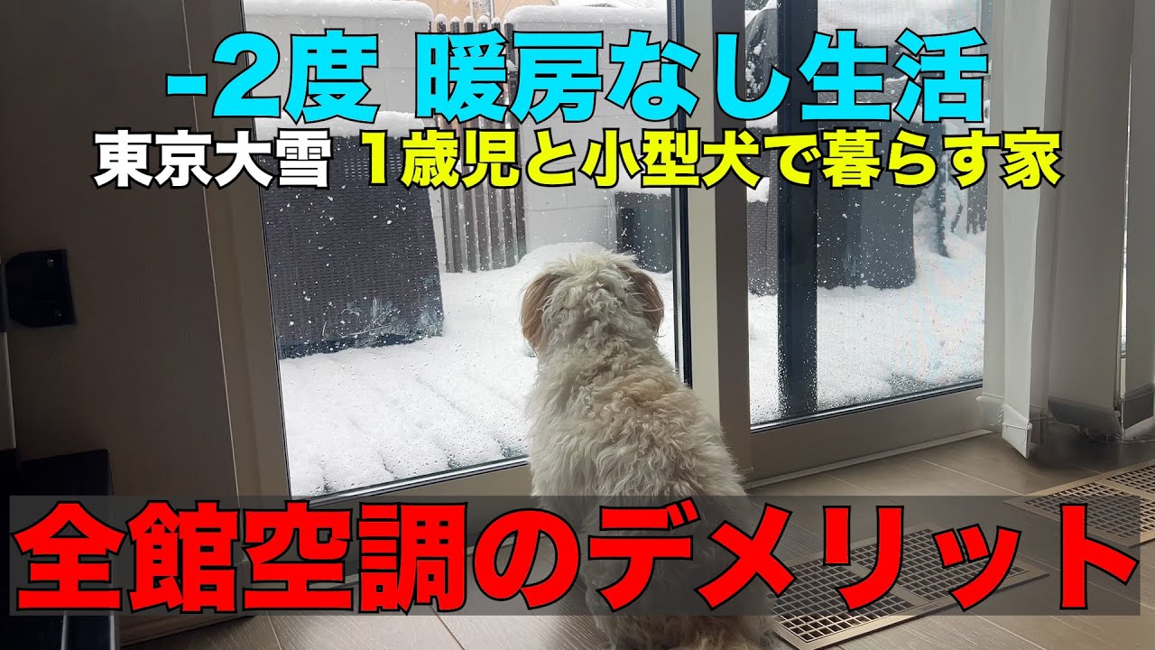 【東京大雪】-2度で全館空調が故障！暖房なしの注文住宅は室温何度で生活できるのか？全館空調のデメリットとは？