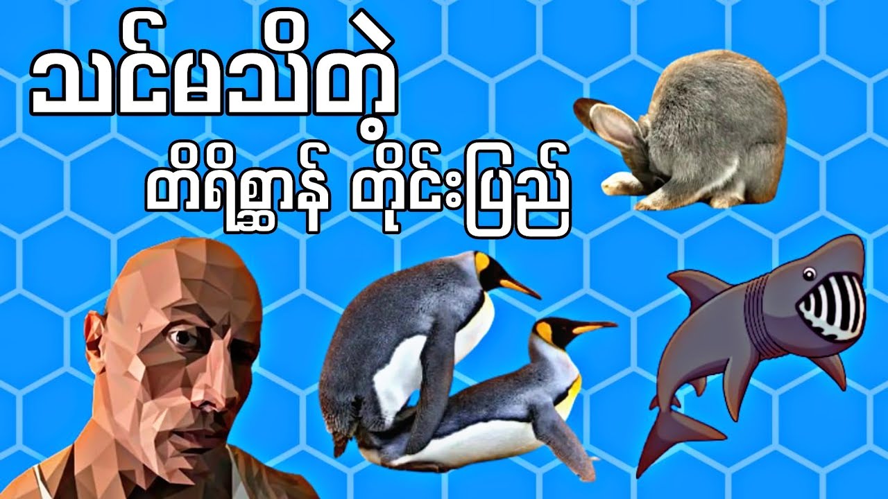 တိရိစ္ဆာန်တိုင်းပြည်က စိတ်ညစ်စရာများ