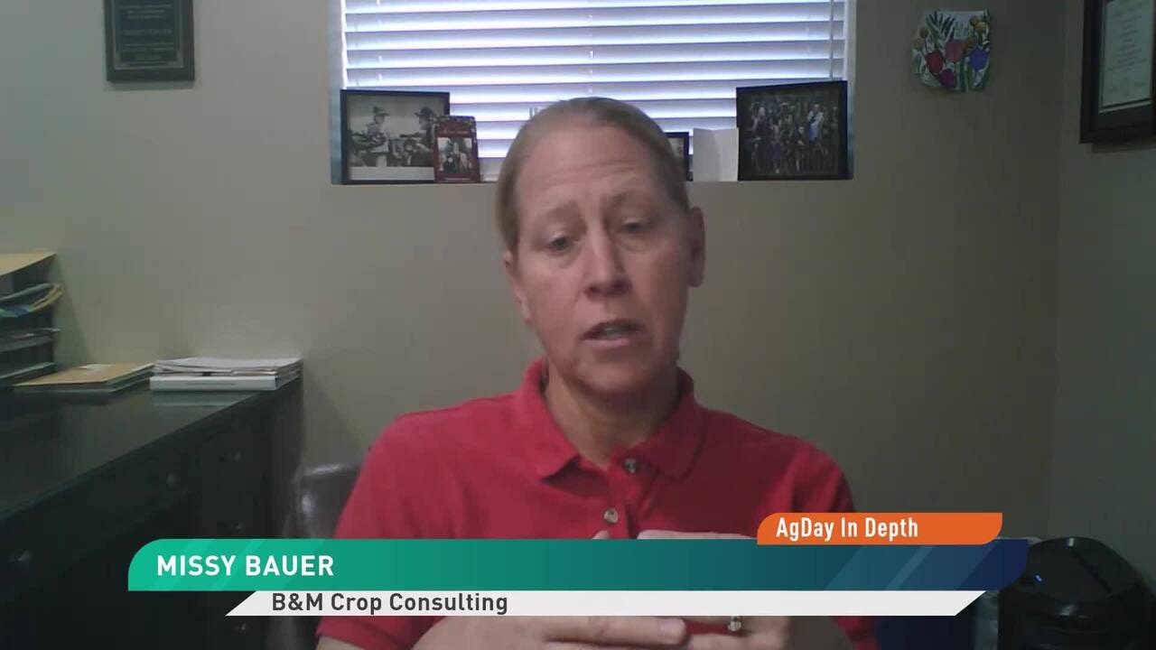 AgDay In Depth: Disease and Dry Weather