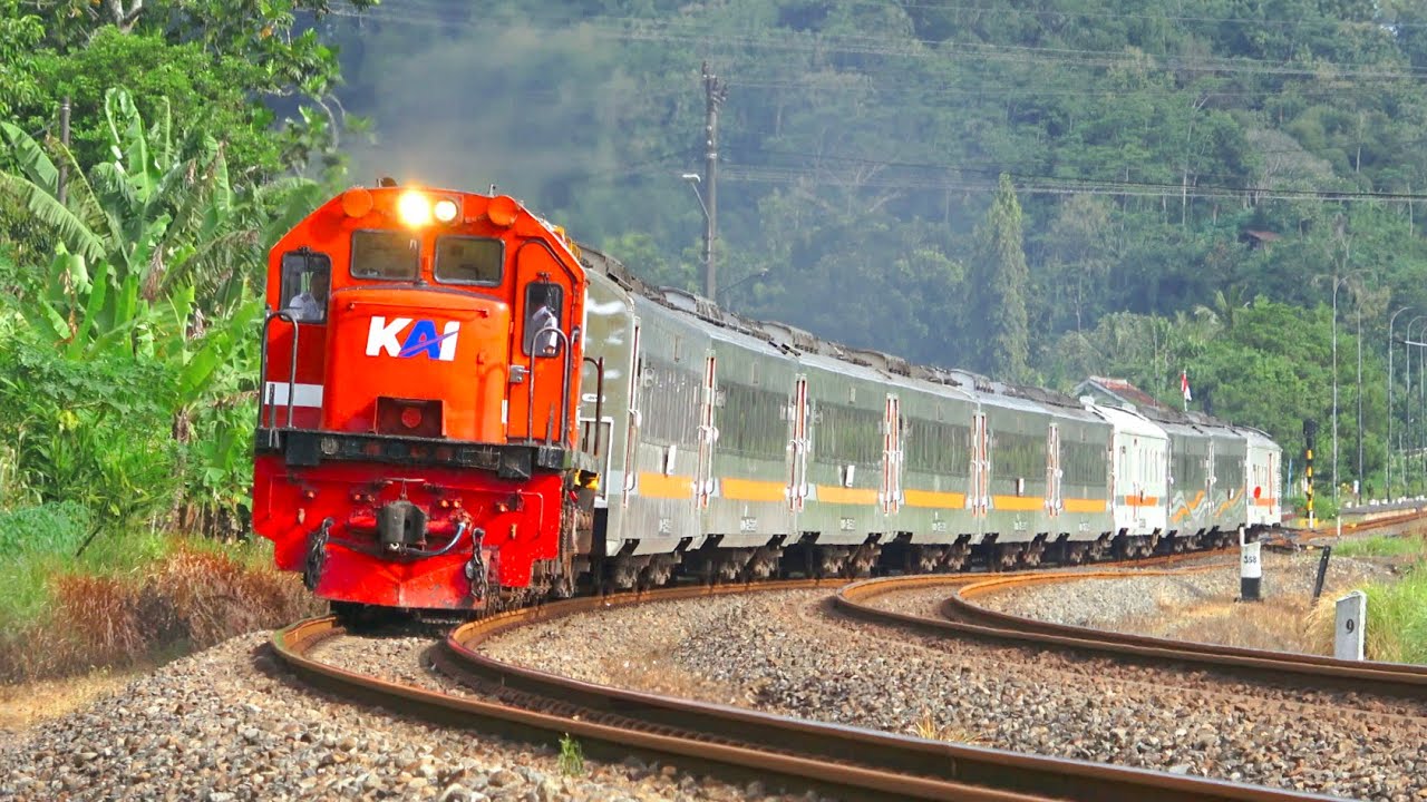 KERETA API PANJANG‼️ MENEMUKAN 20 KERETA API DI STASIUN DAN PERLINTASAN