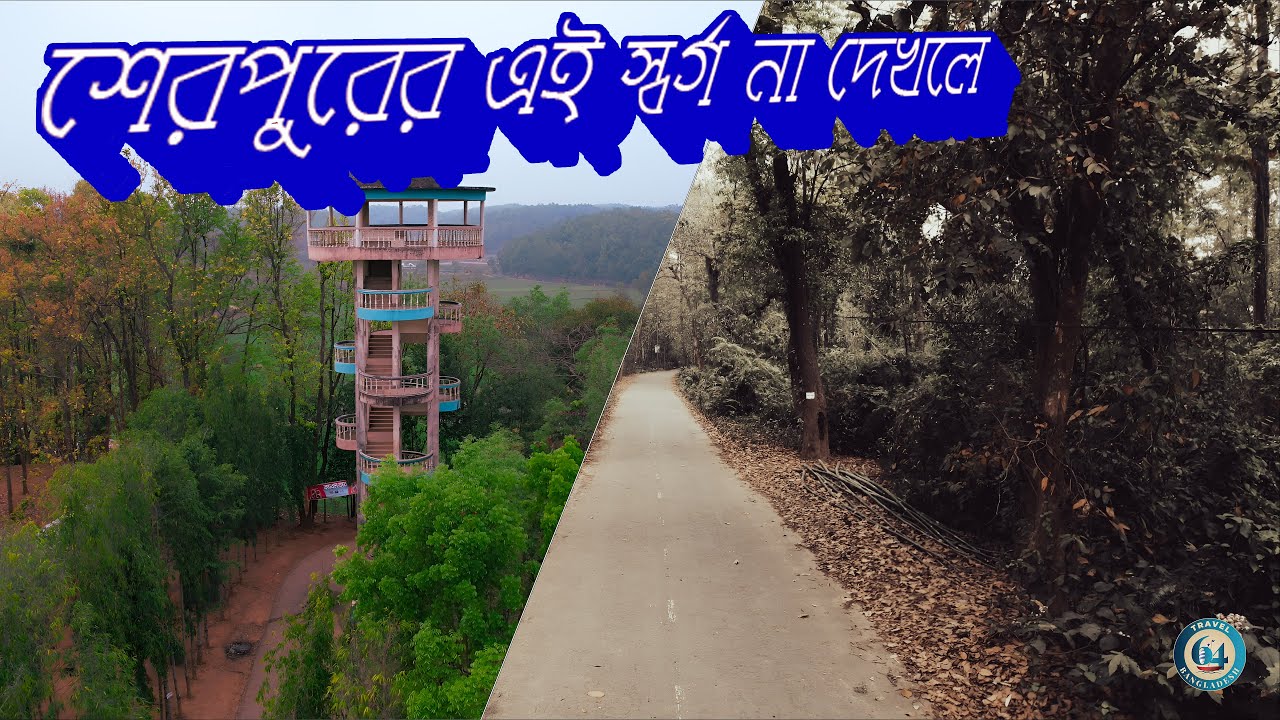 শেরপুরের এই স্বর্গ না দেখলে বিশ্বাসই করবেন না মধুটিলা ইকোপার্ক