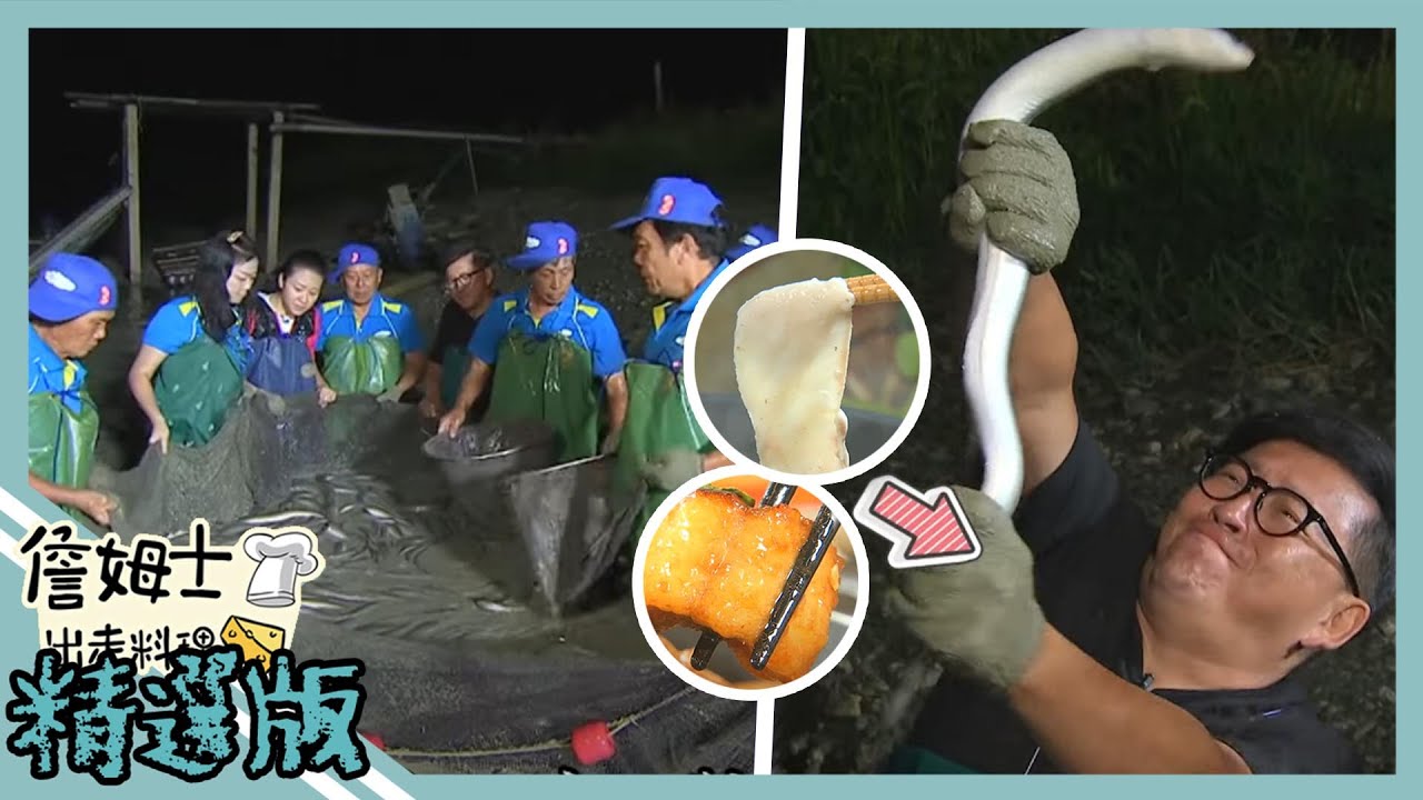 《精選詹姆士棒的-特輯EP27》直銷日本的頂級鰻魚!三杯鰻魚、香煎白鰻、頂級鱘龍魚生魚片吃到飽