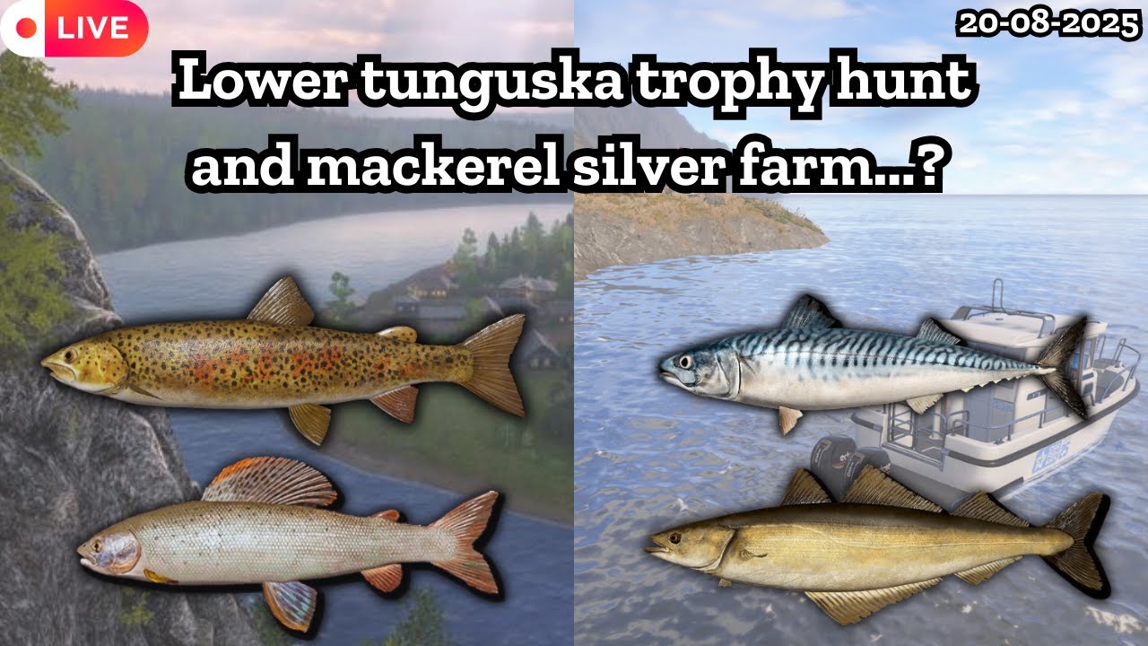 Lower Tunguska trophy hunt | Sea silver farm | Russian fishing 4 | Nanstein |  
