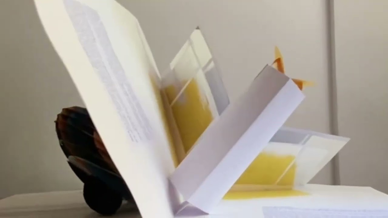 libro POP-UP