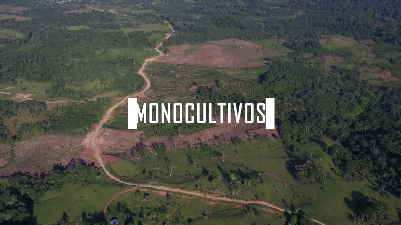 Sesiones SPDA: Impacto de los monocultivos en la Amazonía