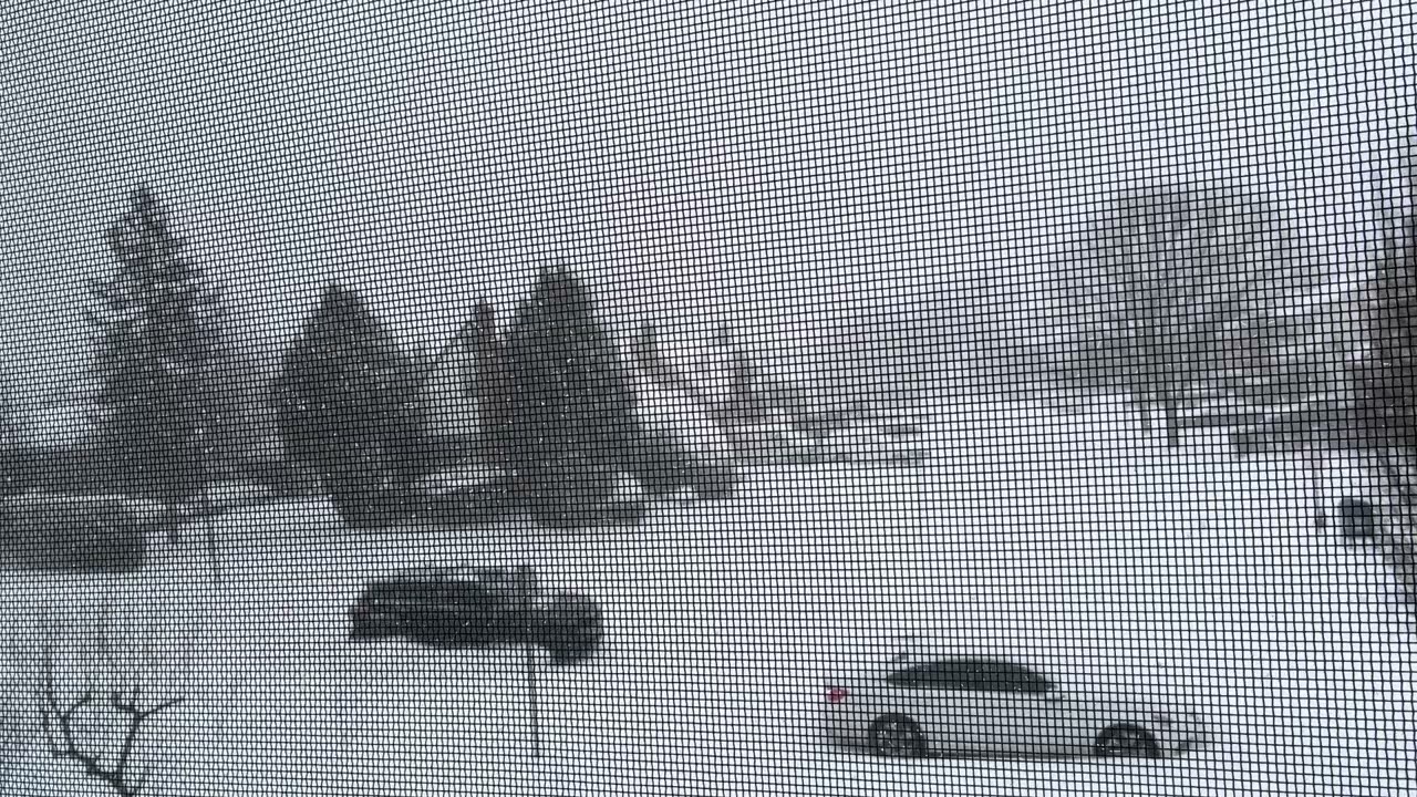 Snow 2026