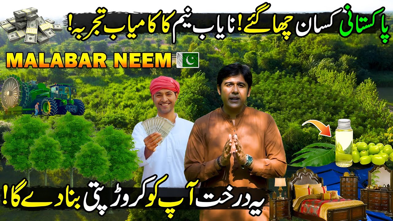 Pakistani Farmers Made New Record | Malabar Meem Farming in Pakistan | Kissan Ka Pakistan