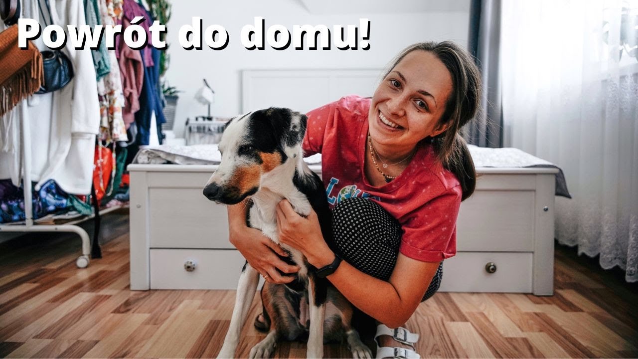 Wróciliśmy do Polski | Spotkanie z Monte po 4 miesiącach i podsumowanie poróży po UK