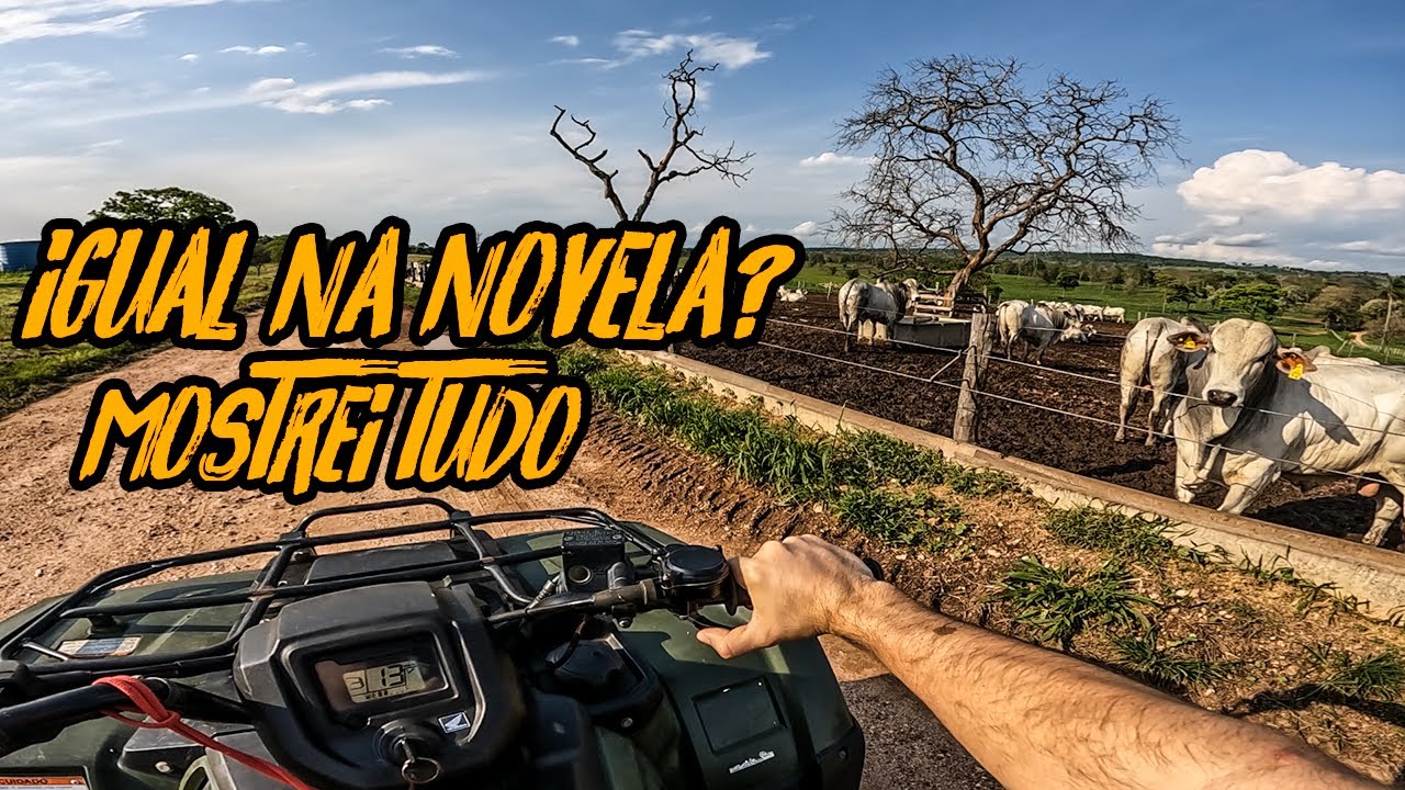 COMO É UMA FAZENDA DE GADO NO PANTANAL!!🔥🐂 VALE MAIS DE R$ 50 MILHÕES DE REAIS