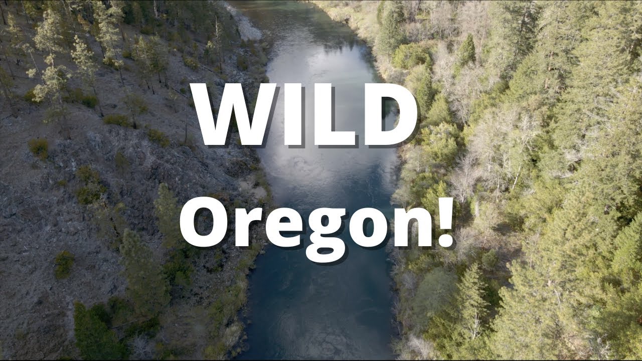 Hiking A BREATHTAKING mountain trail down to a WILD river! Exploring Oregon's Illinois River!