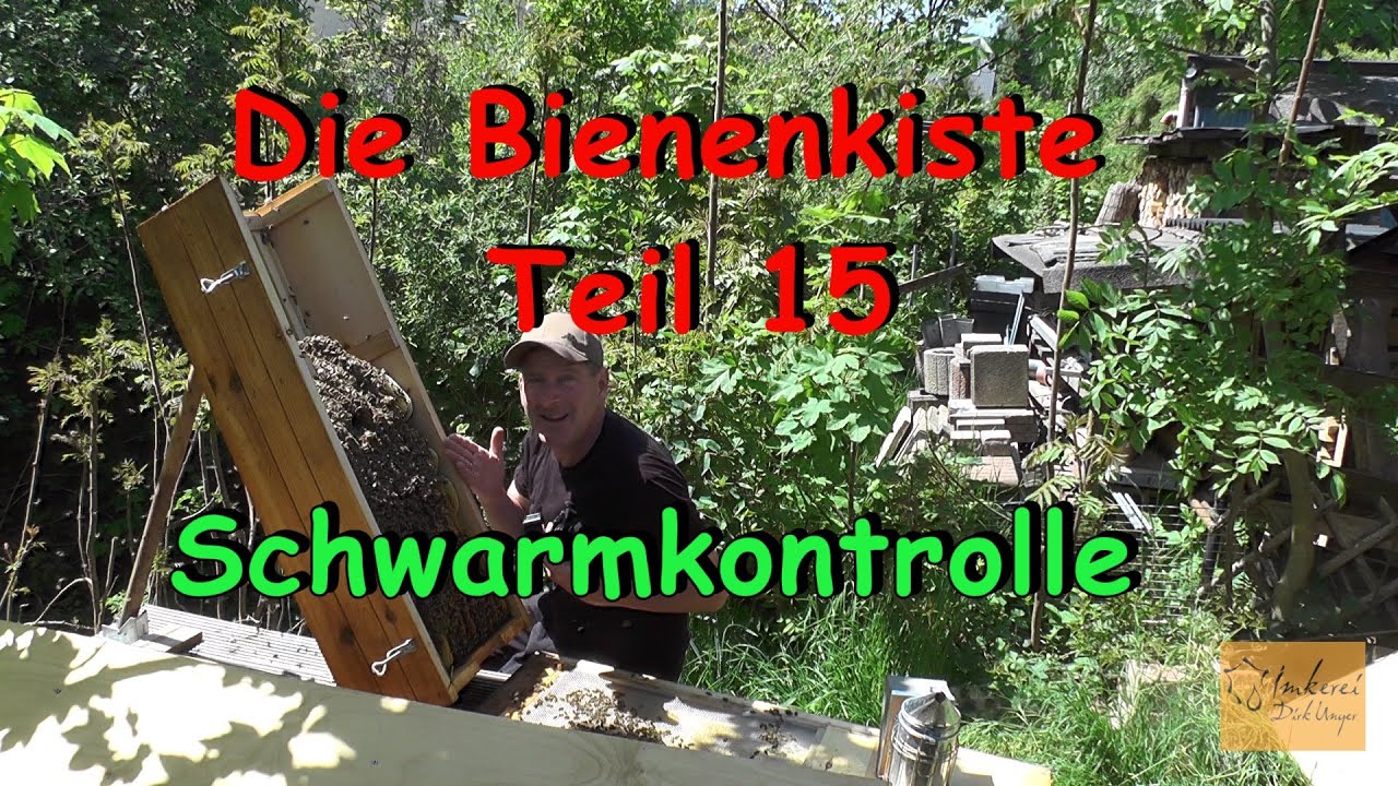 Die Bienenkiste Teil 15 - Schwarmkontrolle 2025