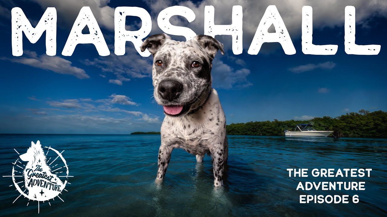 Marshall's Greatest Adventure