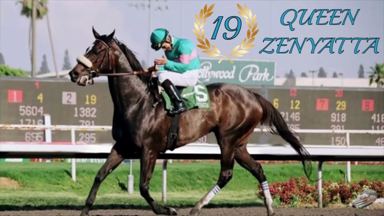ZENYATTA la historia de la Mejor Yegua de Carreras del Mundo 🏇🏇