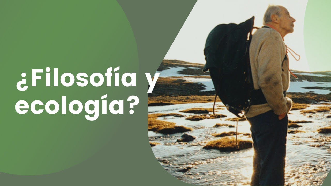 Filosof&iacute;a para la acci&oacute;n: ecolog&iacute;a profunda 🍃