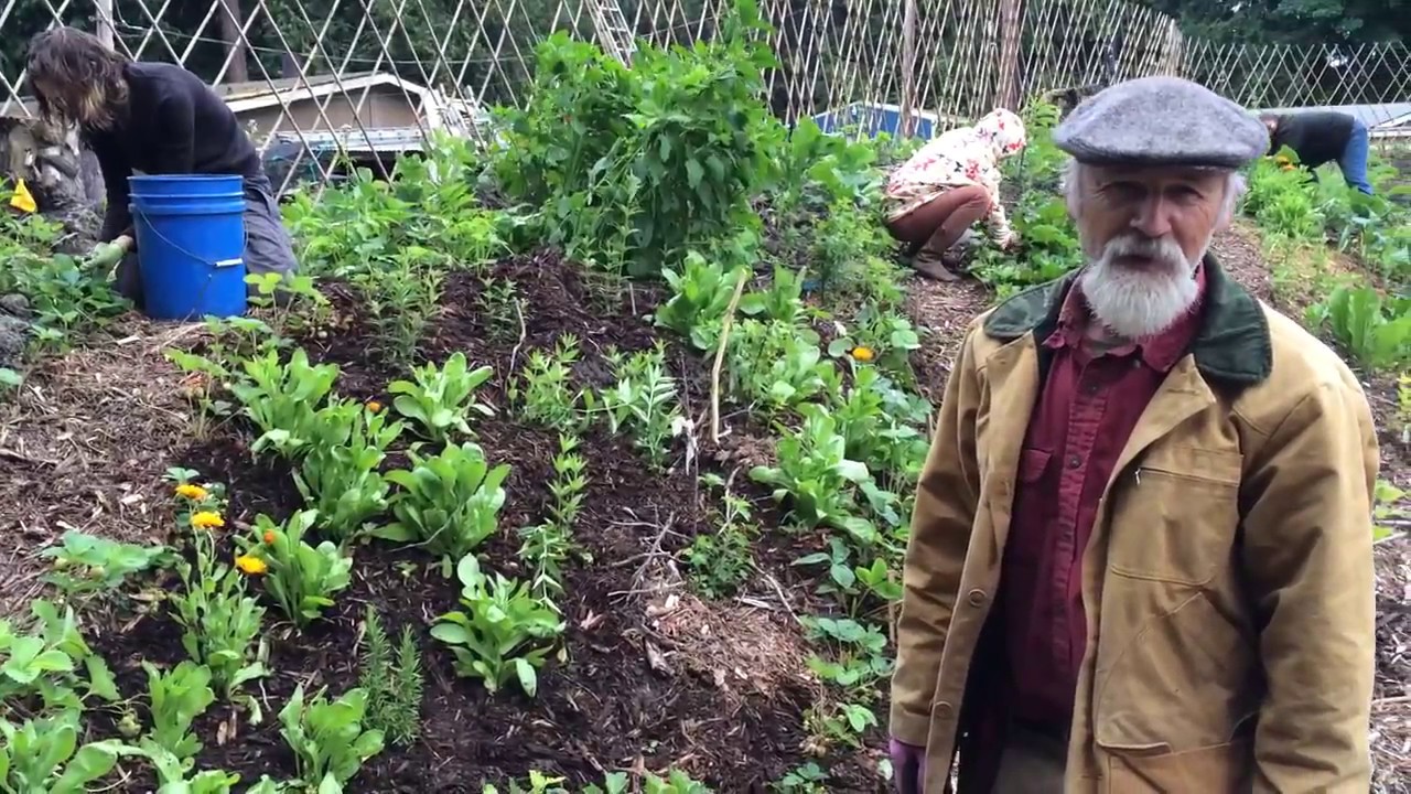 Hugelkultur Berm Planting 2017 with Michael Pilarski 