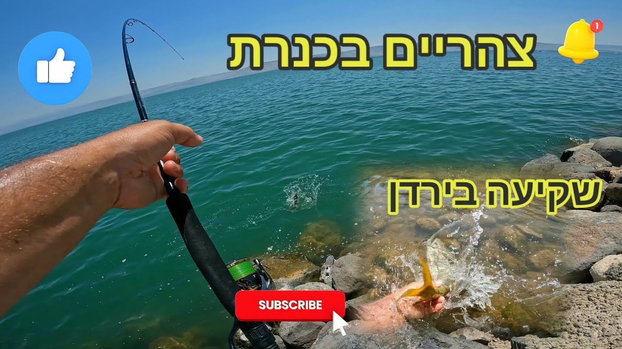 צהריים בכנרת ושקיעה בירדן דיג במתוקים יש אקשן בכנרת וגם בירדן.