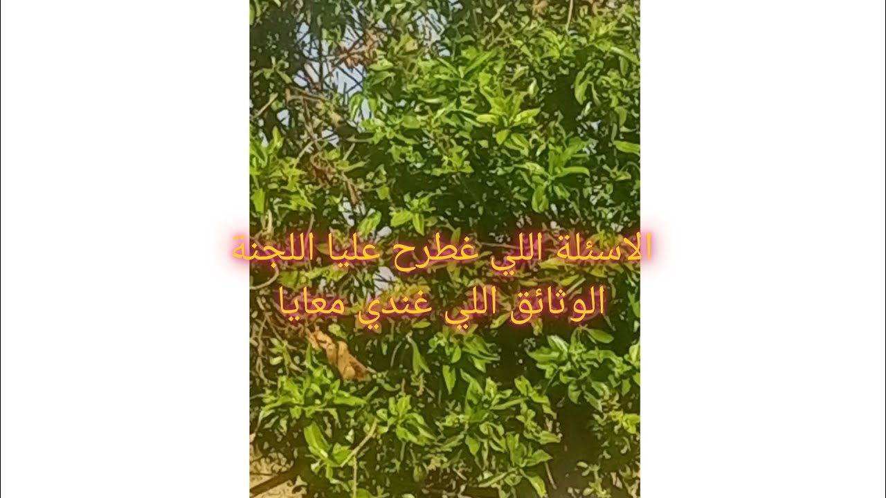 الاسئلة اللي غطرح عليا لجنة🍓.والوثائق اللي غندي معايا.🍓 وايمتا كبداو يعيطو ليا😀🍓