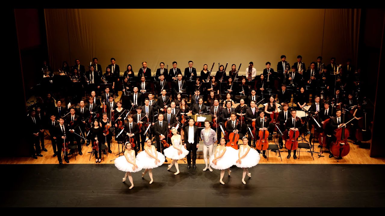 P.Tchaikovsky: Swan Lake (Ponte Orchestra)