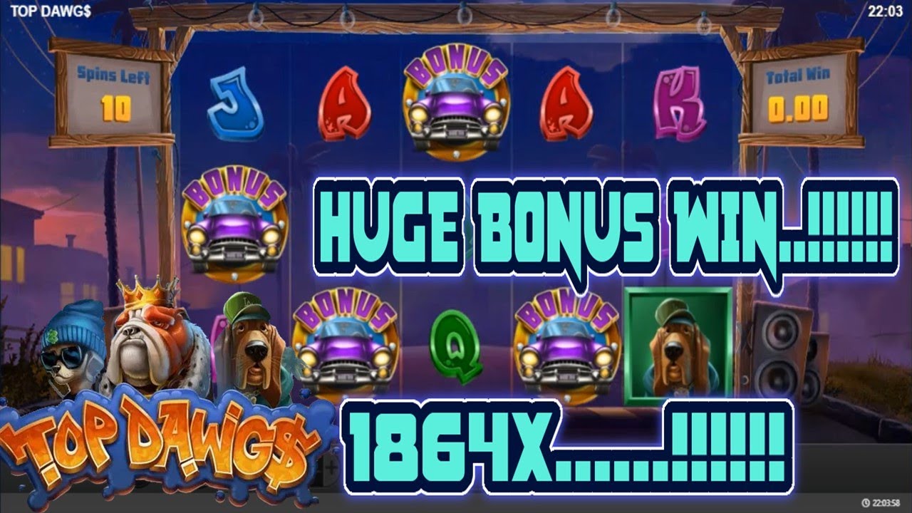 Top Dawgs - HUGE Bonus Win  - 1864X