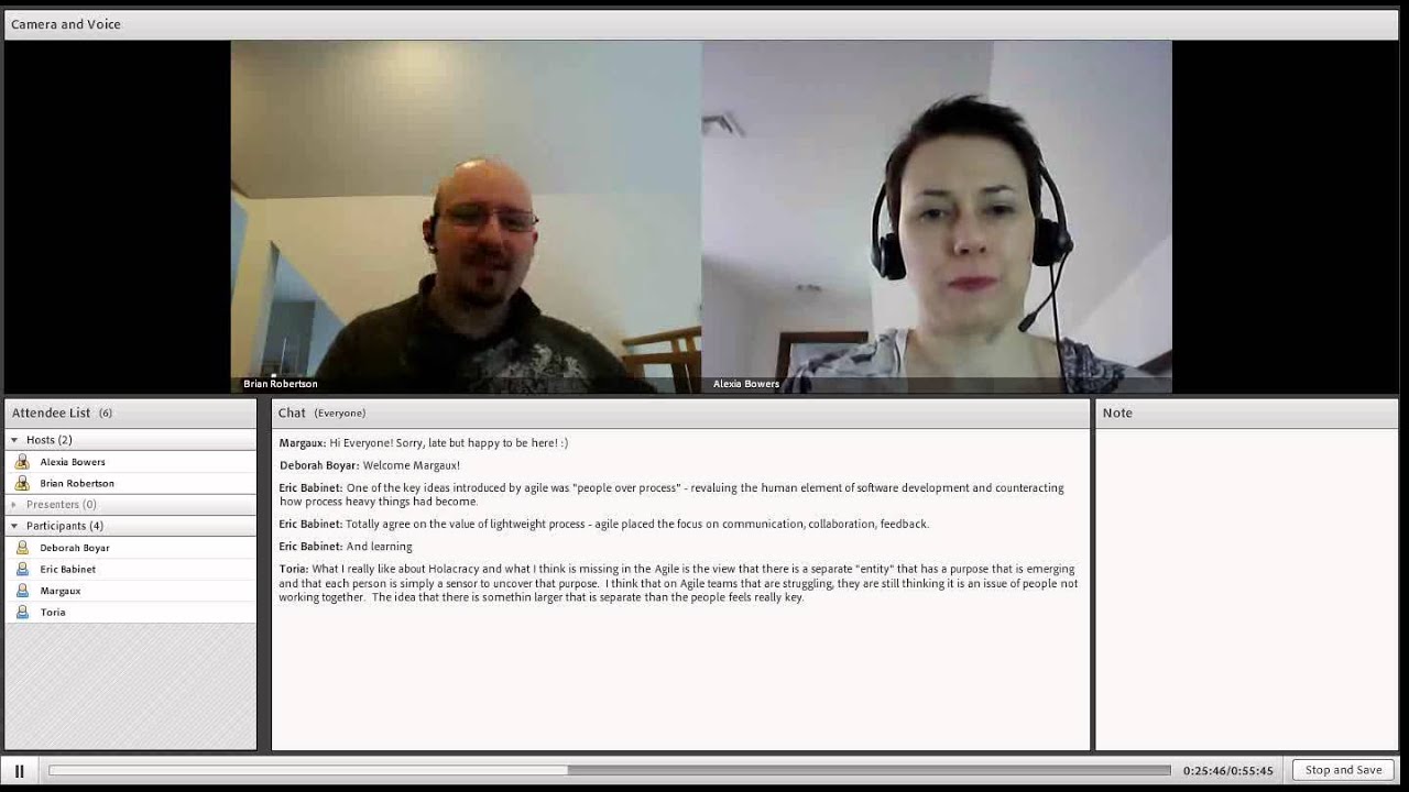 Agile Software Development & Holacracy®
