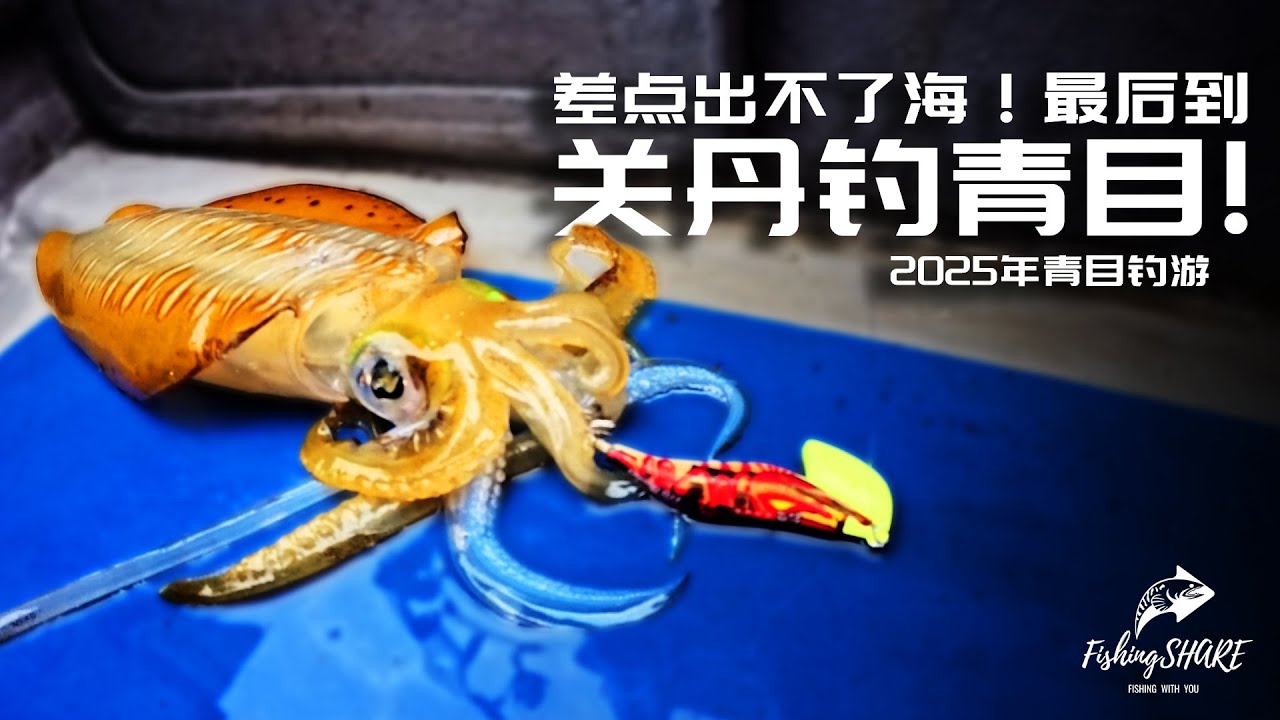 【FishingShare】差点去不了海！最后在关丹钓到青目！Almost couldn’t make it to sea! Caught BIG FIN REEF SQUID in KUANTAN!