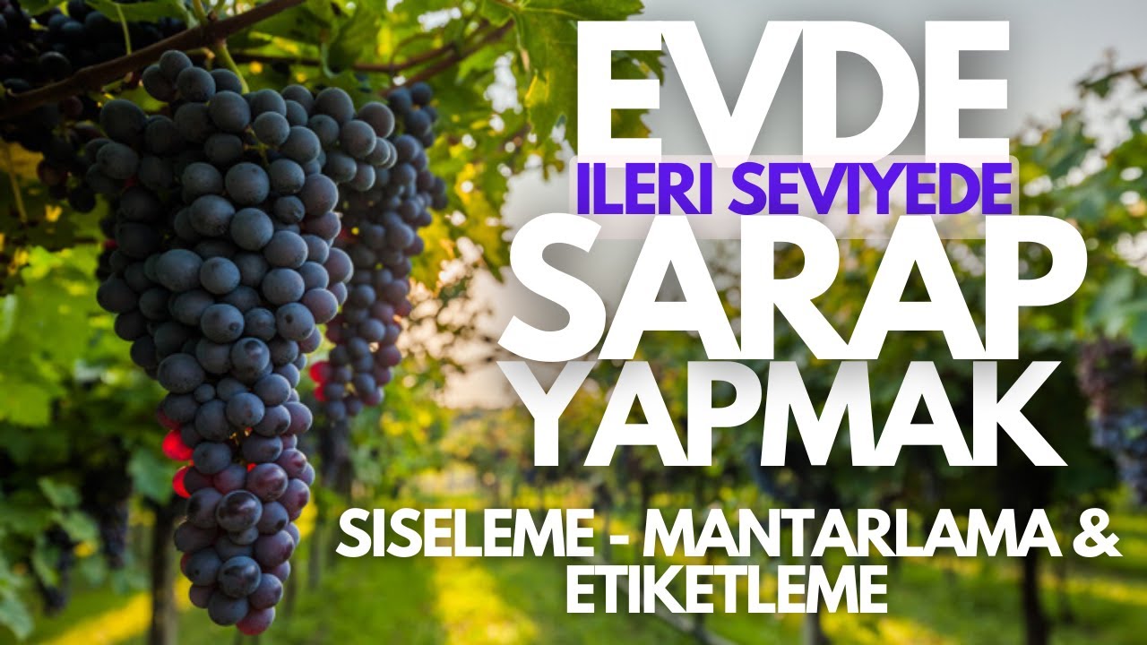 Evde Şarap Yapmak : Şişeleme, Mantarlama & Etiketleme #EvdeŞarap #homemadewine