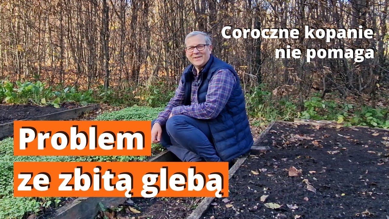 Problem ze zbitą glebą pomimo corocznego przekopywania. Mulczowanie gleby w warzywniku.