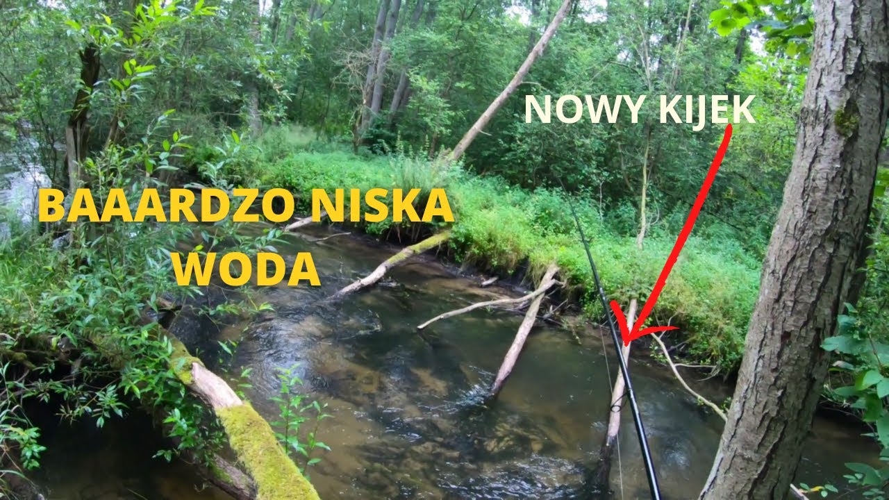 Pstrągi 2021 #8 Niski stan wody i test nowego kija SG2