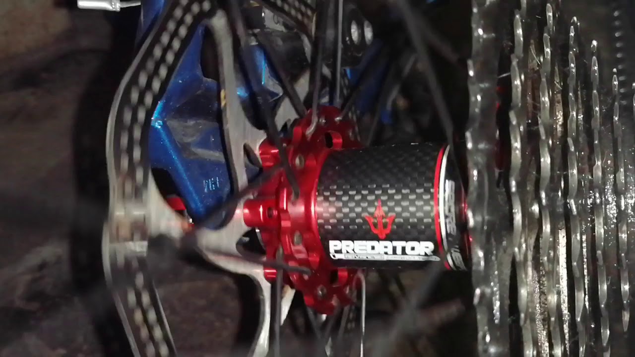 weapon predator carbon hub 6 pawls 3 teeth per pawls Sound Check
