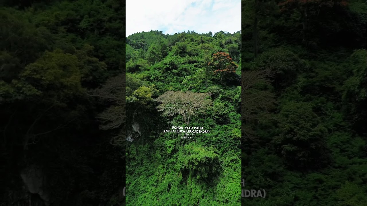 Sewa Drone+Pilot area Cimahi dan Bandung.. bisa DM or comment #dronevideo #bandung #cimahi