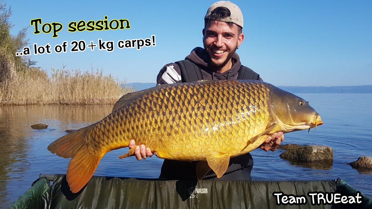 Carpfishing Lago di Bolsena, Sessione TOP - The Powerful Big Carps of Big Lakes. Team TRUEeat®️