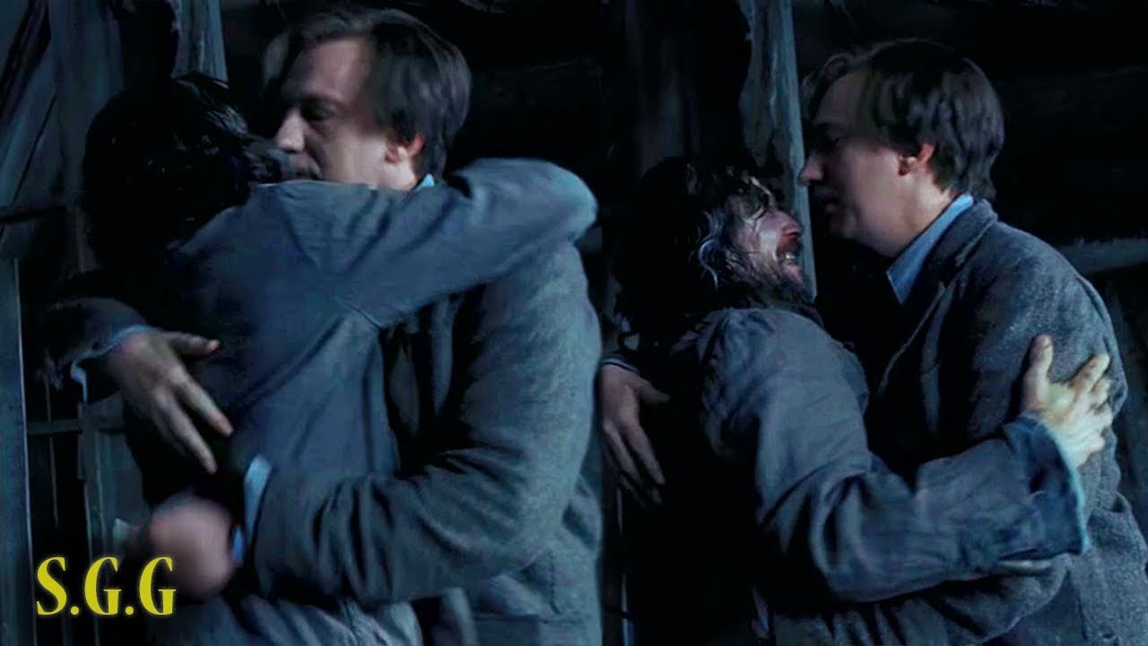Harry Potter & The One True Pairing? - Wolfstar