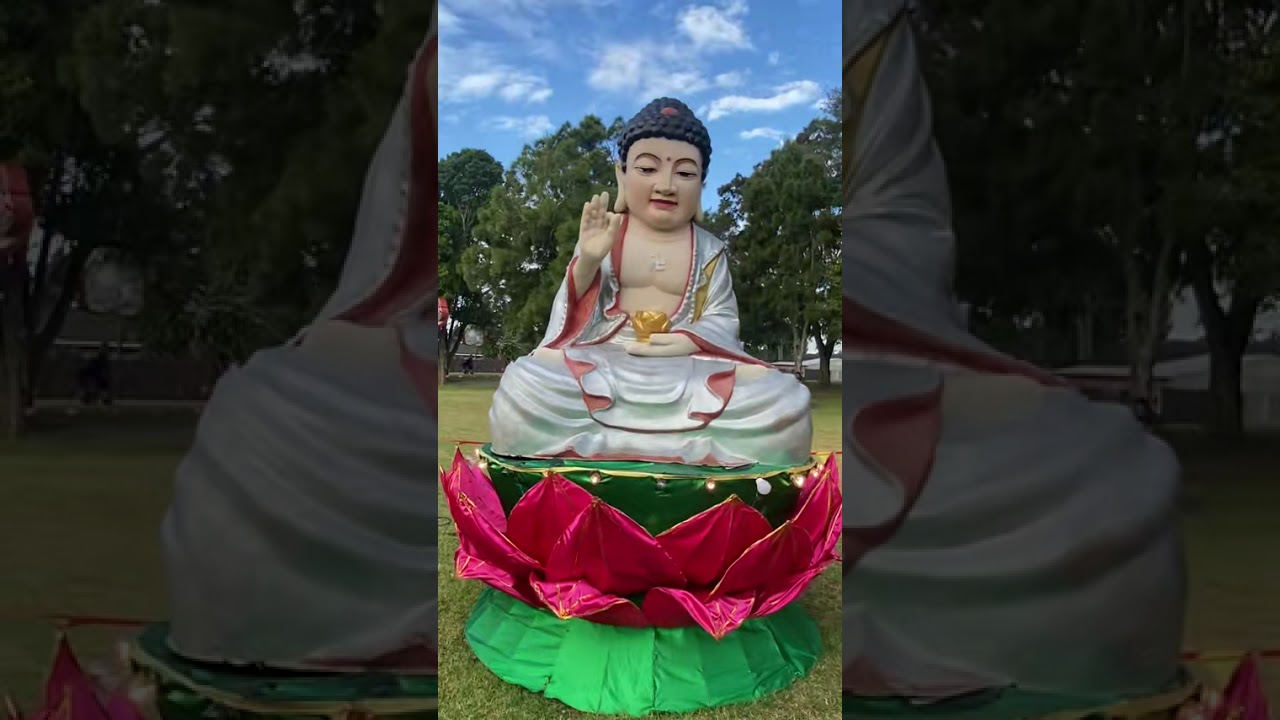 Lantern Festival #flypシ #foryou #lantern #festival #Love