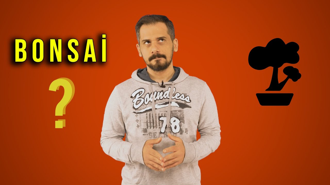 BONSAİ | NEDİR?