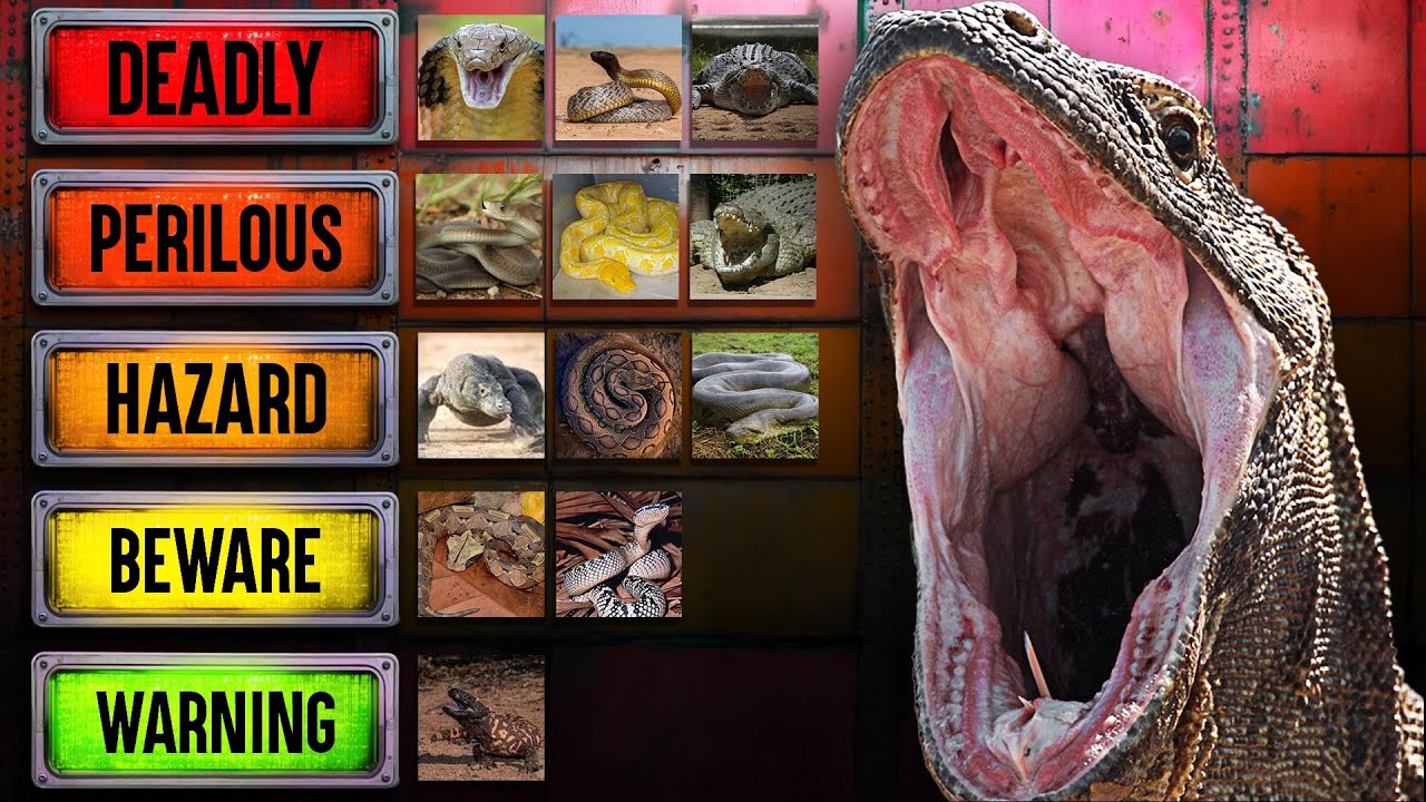 The Deadliest Reptiles (Tier List)