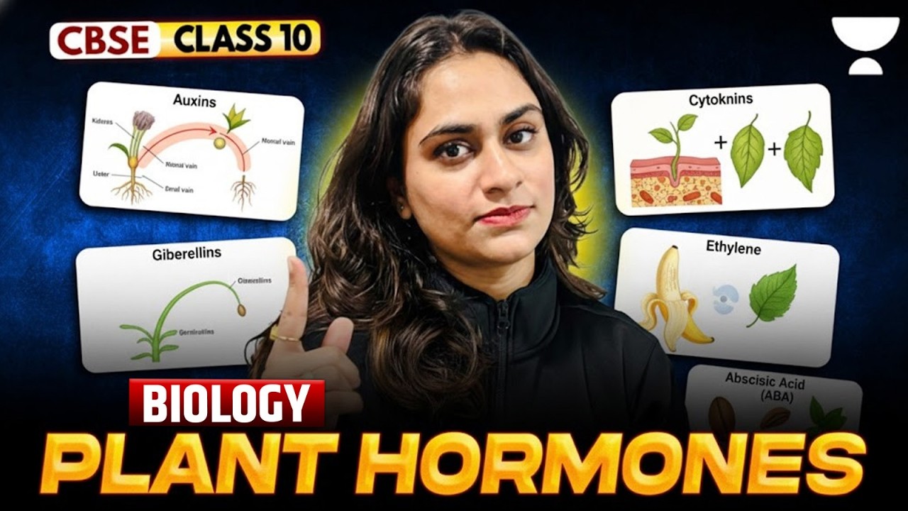 Plant Hormones in One Shot | Control and Coordination | Class 10 Biology | CBSE Boards 2026