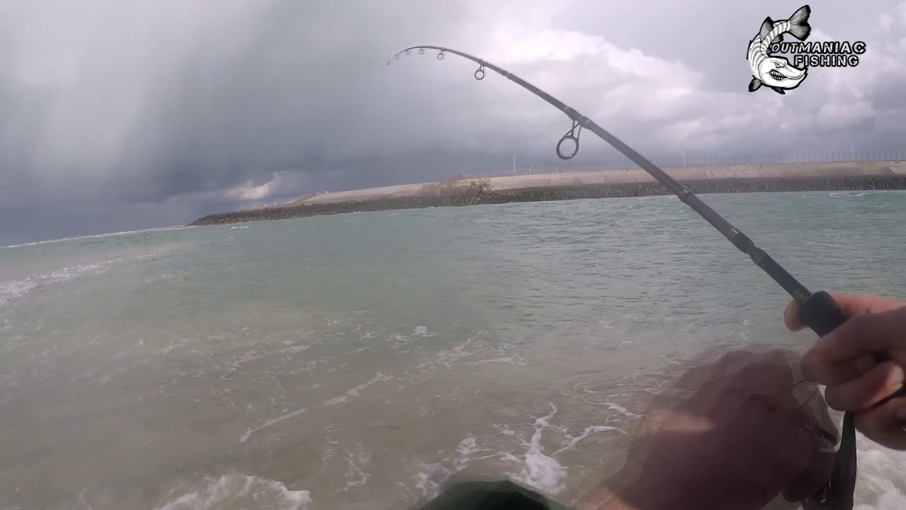 Big mistake on a big Seabass, part 2 peche des enorme bar loup