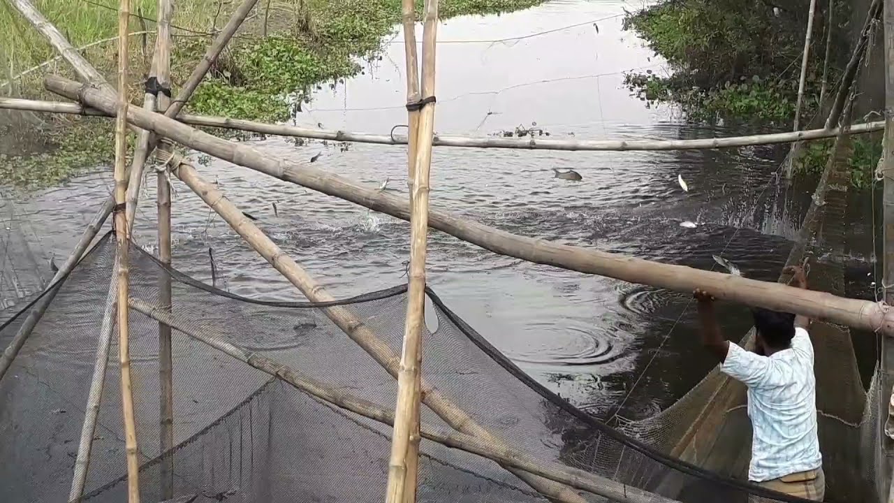 খরা জালে এক টানে ২ মণ মাছ শিকার। Unbelievable fishing - Net full in just one Cast😍