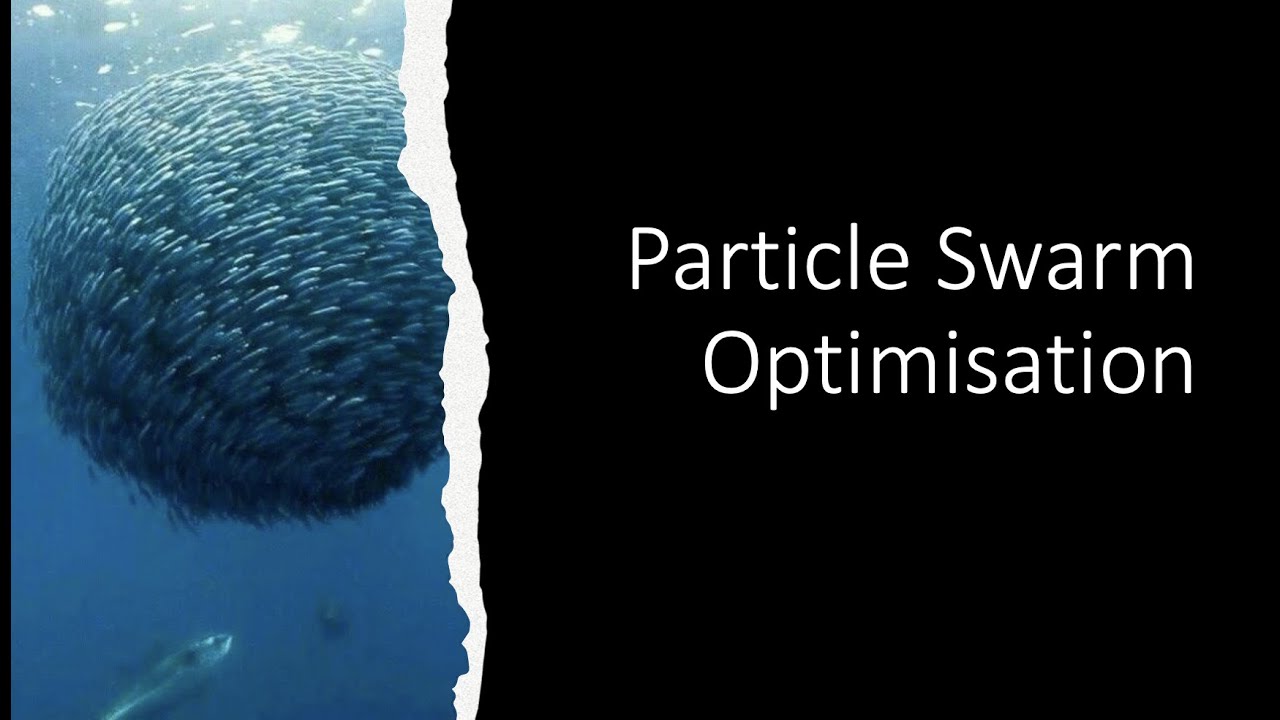Particle Swarm Optimisation