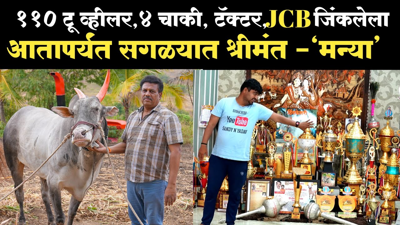 हिंदकेसरी मन्याची मुलाखत ! manya bail mulakhat 2023 | राजुशेठ जवळेकर |rajusheth javalekar
