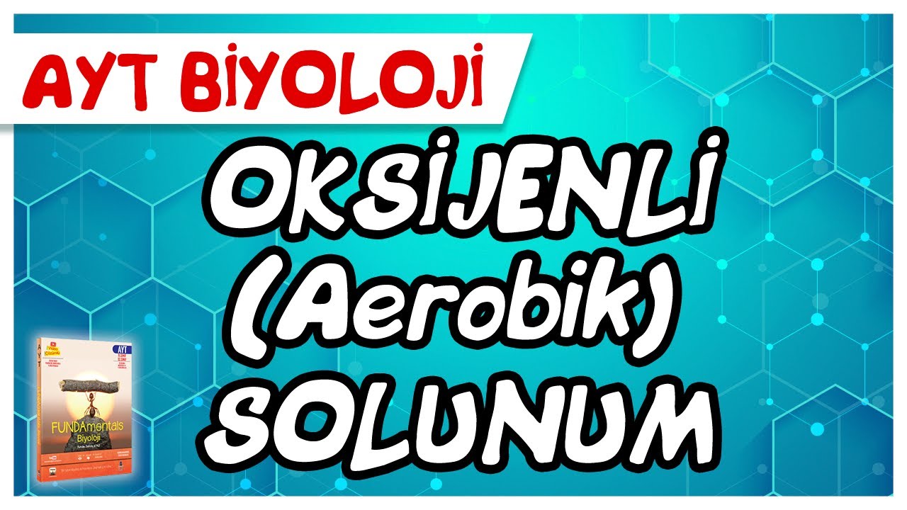 AYT Biyoloji | Oksijenli (Aerobik) Solunum #sayfa174