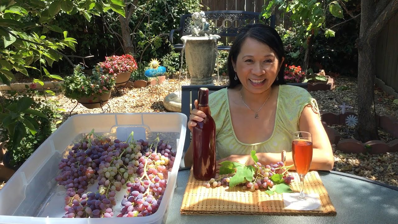 How To Make ROSÉ WINE At Home-20% Alcohol Fermentation Process With Raw Sugar And 2 types of Yeast