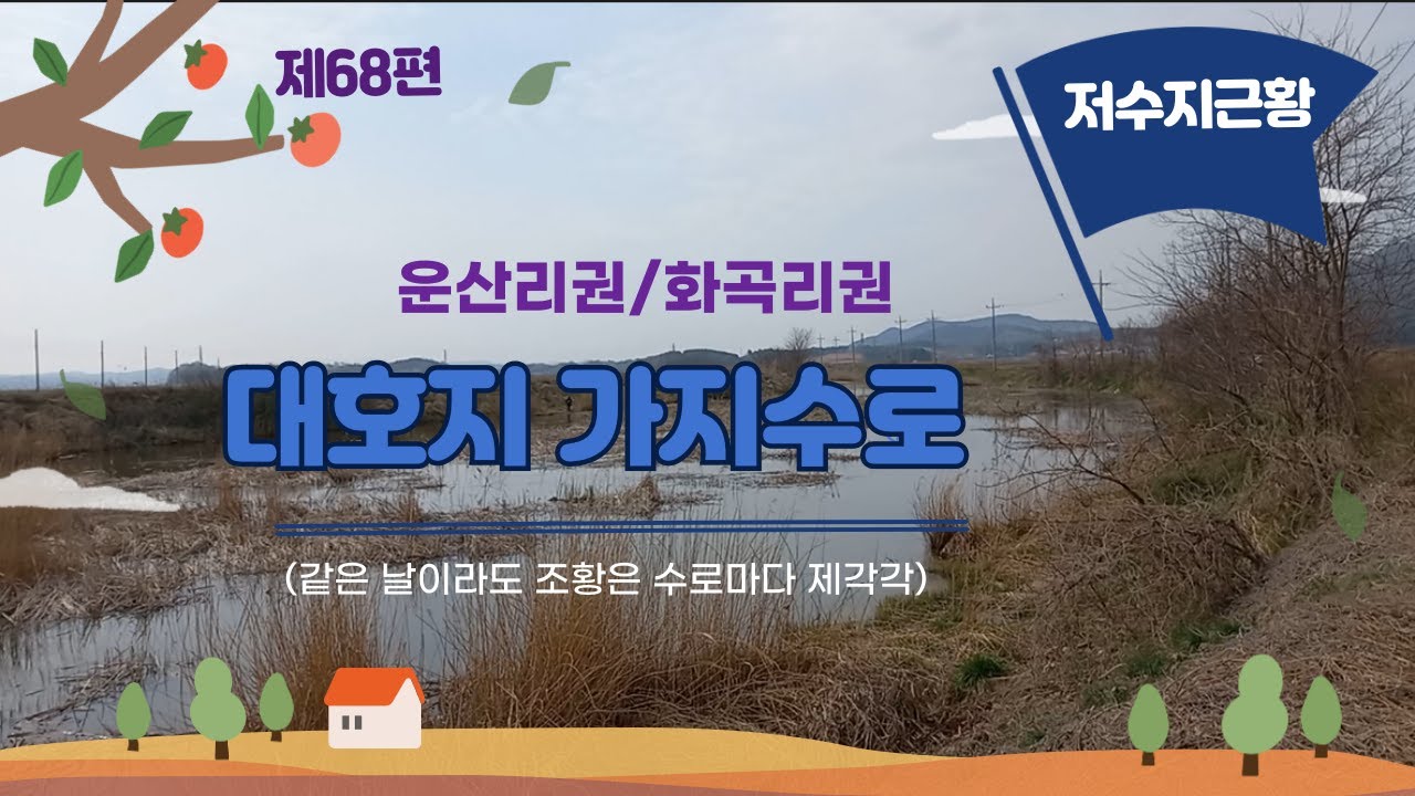 제68편_ 대호지 가지수로, 운산리권/ 화곡리권 수로 _ 근황