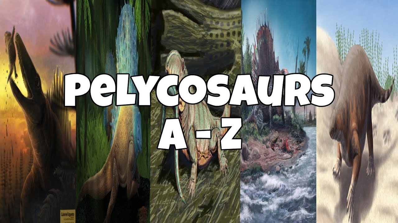 Pelycosaurs A - Z [1/1]